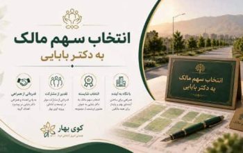 انتقال سهم مالک به بابایی